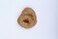 SummitLink Realistic Gross Party Pooper Fake Poo Dog Poop Novelty Toy Brown Birthday Prank Toy Novelty Gift Joke New