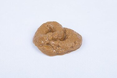 SummitLink Realistic Gross Party Pooper Fake Poo Dog Poop Novelty Toy Brown Birthday Prank Toy Novelty Gift Joke New