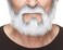 Mustaches (Gray With White) - Self Adhesive, Novelty, On Bail Fake Beard, False Facial Hair, Costume Accessory for Adults, Grey with White Colour