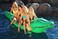 GoFloats Giant Inflatable Pool Floats, Choose From Our Awesome Styles (Unicorn, Swan, Flamingo, Heart, and Alligator)