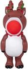Hog Wild Holiday Reindeer Popper