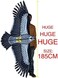 Hengda Kite-Strong Eagles!Huge beginner eagle kites for Kids and Adults.74-Inch by Hengda kite