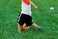 Daball Kid and Toddler Soccer Ball - Size 1 and Size 3, Pump and Gift Box Included