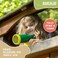 Barcaloo Kids Playground Equipment - Pirate Telescope or Swing Set for Jungle Gym BCL-PG-TELES14