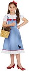 Fun Shack Dorothy Costume for Girls, Large, Polyester, Halloween
