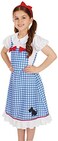 Fun Shack Dorothy Costume for Girls, Large, Polyester, Halloween