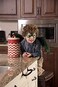 Little Adventures Reversible Dragon Mask and Wing Set Costume Dress Up (Green)