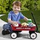 Radio Flyer Little Toy Wagon, Red