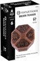 Bepuzzled Hanayama 7185 News Brain Teaser Puzzle