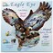 SunsOut Eagle Eye 1000 pc Jigsaw Puzzle