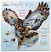 SunsOut Eagle Eye 1000 pc Jigsaw Puzzle
