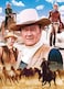 MasterPieces Amer Cowboy