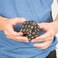 Funtime Gifts Sudoku Puzzle Cube - A Fun Portable Take on the Classic Sudo