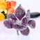EVER FAITH Women's Austrian Crystal Orchid Flower Petal Brooch