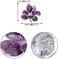 EVER FAITH Women's Austrian Crystal Orchid Flower Petal Brooch