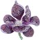 EVER FAITH Women's Austrian Crystal Orchid Flower Petal Brooch