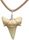 FROG SAC Natural Shark Tooth Necklace for Men, Genuine Fossil Shark Teeth, Cool Sharktooth Beach Necklaces for Women, Beachy Surfer Choker Jewelry