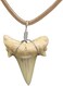 FROG SAC Natural Shark Tooth Necklace for Men, Genuine Fossil Shark Teeth, Cool Sharktooth Beach Necklaces for Women, Beachy Surfer Choker Jewelry