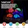 Cloud b Calming Nightlight Star Projector   Gentle Brightness   3 Colors   8 Constellations   Auto-Shutoff   Twilight Turtle Blue