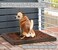 Bark Potty Disposable Dog Potty - Multi-Use, Odor Neutralizing, Non-Leaking - Replaces up to 60 Pee Pads - Indoor/Outdoor