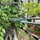 vouiu 8inch Bonsai Scissors Bonsai Tools.