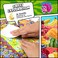 HORIECHALY Scratch and Sniff Stickers, 48 Sheets Scented Stickers with 16 Scents, 720Super Smelly Reward Stickers for KidsTeachers, Birthday Christmas Gift, Party Favors.