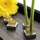 Wazakura 4PCS Mini Ikebana Kenzan Japanese Flower Holder Pin Cushion, Made in Japan, Flower Arranging Accessories Pin Flower Frog, Round Square - 1"(24mmBrass.