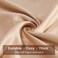 SLEEP ZONE 2-Pack Silky Soft Satin Pillowcases for Hair and Skin, King Size (20x40 inchesLuxury Pillow Covers with Envelope Closure, Almond Buff.