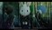 Aksys Collar X Malice ( Import.