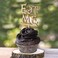Summer-Ray.com Summer-Ray 50pcs Wooden Eat Me Cupcake Topper Alice in the Wonderland Cupcake Topper.