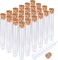 HNYYZL 25Pcs Clear Plastic Test Tubes with Cork Stoppers, 15x100mm 10ml, Good Seal for Jewelry Seed Beads Powder Spice Liquid Storage, Lab Use or Decoration.