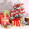 SANNIX 40 Yards Christmas Ribbons Mixed Style/Size Holiday Gifts Wrapping Satin Ribbons, 20 Styles.