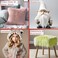 Barcelonetta One Yard Faux Fur36" X 60" InchDIY Projects, Craft Supply, Costume, Decoration, Upholstery (Platinum.