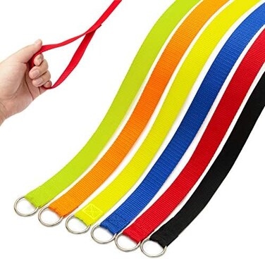 حبل مقود الكلاب DCSUIT Slip Leads - حبل مقود قوي ومتين بطول 6 أقدام مع حلقة دائرية، 6 ألوان، حزام ناعم للجراء/الكلاب، سهل التحكم للتزيين/المأوى/الإنقاذ/المشي/التدريب، إلخ.