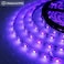 طقم شريط إضاءة LED بالأشعة فوق البنفسجية من LightingWill بقوة 24 واط، مقاوم للماء بمعيار IP65، طوله 16.4 قدم/5 أمتار، 3528، 300 مصباح LED، إضاءة سوداء بطول موجي 395-405 نانومتر، مناسب لتزيين حفلات الد