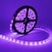طقم شريط إضاءة LED بالأشعة فوق البنفسجية من LightingWill بقوة 24 واط، مقاوم للماء بمعيار IP65، طوله 16.4 قدم/5 أمتار، 3528، 300 مصباح LED، إضاءة سوداء بطول موجي 395-405 نانومتر، مناسب لتزيين حفلات الد