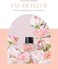 Foellie [Foellie] eau de fleur - Feminine Inner Beauty Perfume (for Underwear, Sweetly Floral Scents Fragrance, 5ml(0. 169 fl oz.