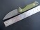 Eafengrow EF107 Fixed Blade Knife with D2 Steel Blade and Kydex Sheath - G10 Handle Compact Outdoor Field Utility Knife (Green.