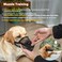 Crazy Felix Nylon Dog Muzzle for Small Medium Large Dogs, Air Mesh Breathable and Drinkable Pet Muzzle for Anti-Biting Anti-Barking Licking (Grey, XXS.