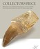 KALIFANO Authentic Fossilized Prehistoric Mosasaur Tooth from Morocco - Mosasaurus Teeth for Fossil Collections and Education Purposes (Information Card Included.