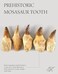 KALIFANO Authentic Fossilized Prehistoric Mosasaur Tooth from Morocco - Mosasaurus Teeth for Fossil Collections and Education Purposes (Information Card Included.