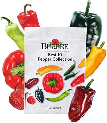 مجموعة Burpee الأفضل: 10 عبوات من مزيج طازج غير معدل وراثيًا من الفلفل الحار، وأنواع الفلفل الحلو، وبذور الهالبينو، وبذور الفلفل الحلو، والمزيد من البذور للزراعة.