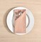 FINGERCRAFT Cloth Napkins Dinner Washable in Cotton Linen Fabric,Blush 12 Pack,Premium Quality, Mitered Corners for Every Day Use Napkins are Pre Shrunk and Good Absorbency Dusty Pink.