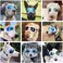 Namsan Dog Goggles for Large Dogs, Wide Nose, Soft Frame, Anti-UV Tactical Sunglasses, Medium to Large Breed, SummerWinter Eye Protection, Adjustable, White.