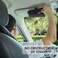 Accmor Sunglasses Holder for Car Sun Visor, Universal Auto Eyeglasses Organizer Box, Vehicle Visor Accessories Glasses Protective Storage Case with Hidden Magnetic Closure for Woman Man.