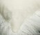 yingda1992 Mongolian Lamb Fur Throw Pillow Cover Soft Fluffy Square Cushion Car Accessories Decorated for Livingroom.