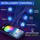 Nestour 2016-2020 Tesla Model 3 Y Interior Car Neon Lights (Center ConsoleDashboardSeat Back4 Foot Lightswith Matching Armrest Organizer, Tesla Ambient Lighting, APP-Controlled LED Strip Lights.
