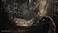 Deep Silver Blair Witch Playstation 4 (PS4.