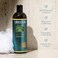 Aleavia Green Tea Honeysuckle Body Cleanse.