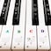 Coyaho Piano Keyboard Stickers for 88/61/54/49/37 Key, Bold Large Letter Piano Stickers for Learning, Removable Piano Keyboard Letters, Notes Label for Beginners and Kids, Multicolor.